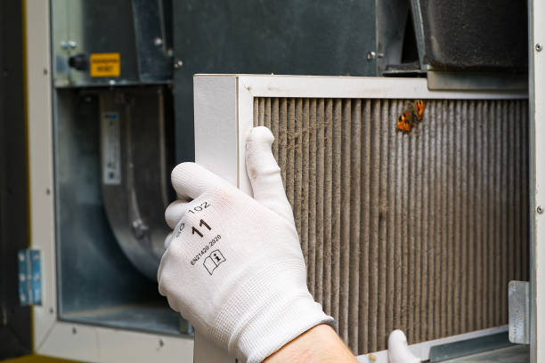 Best Duct Cleaning for Offices  in La Vale, MD