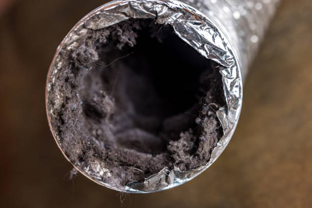 Best Emergency Air Duct Cleaning  in La Vale, MD