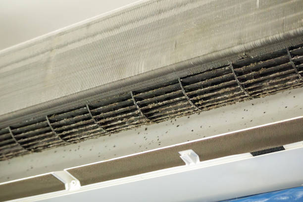 Best HVAC System Cleaning  in La Vale, MD